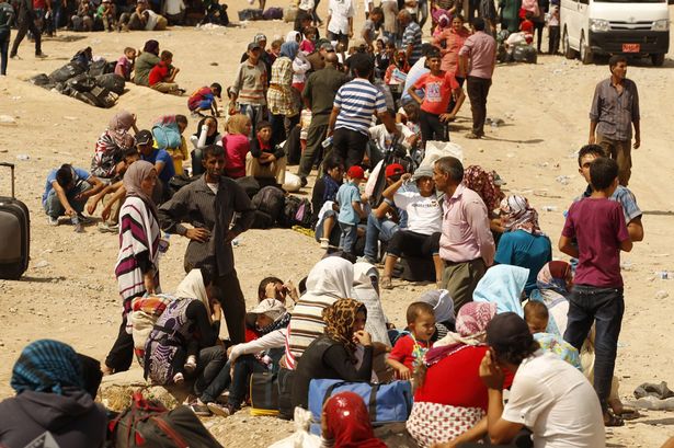 Syrian-refugees
