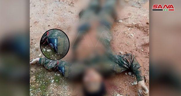 Terrorists killed