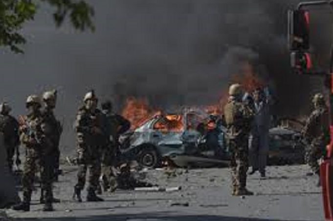 afghan.webp